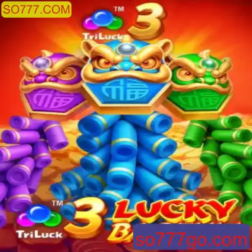 Descubra o Mundo Emocionante de '3LuckyBaozhu' em SO777.COM