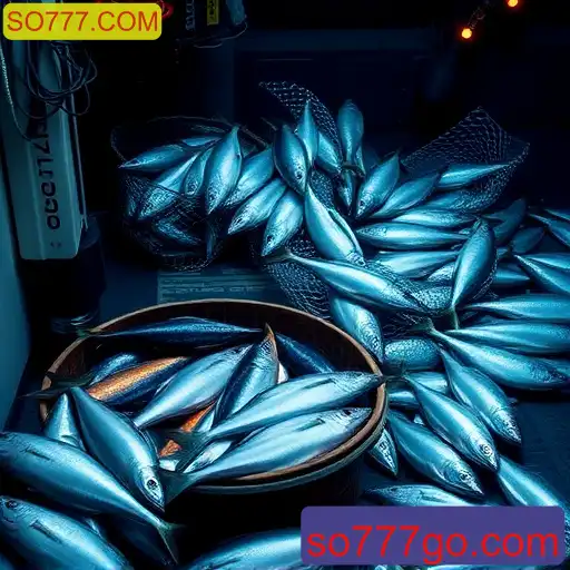 A Importância da Pesca e o Papel do SO777.COM