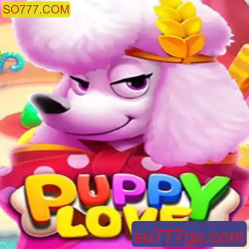 Descubra o Encantador Jogo PuppyLove: Regras e Introdução